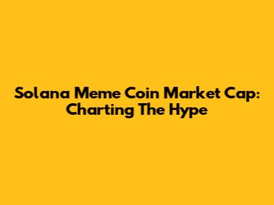 Solana Meme Coin Market Cap: Charting The Hype