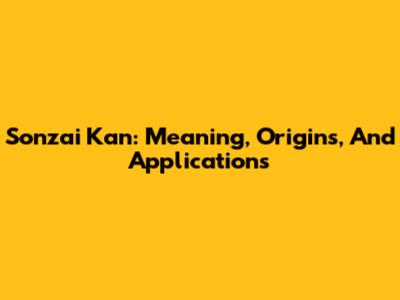Sonzai Kan: Meaning, Origins, And Applications