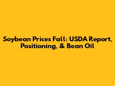 Soybean Prices Fall: USDA Report, Positioning, & Bean Oil