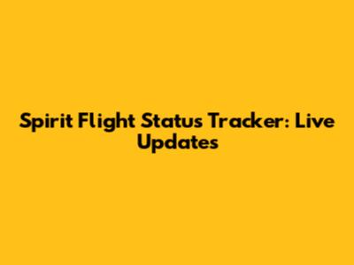 Spirit Flight Status Tracker: Live Updates