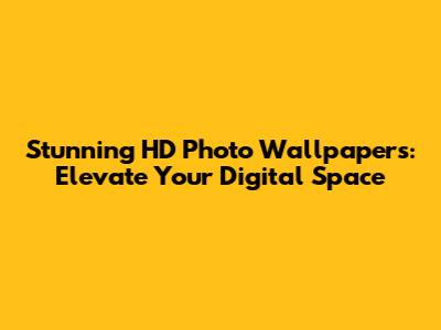 Stunning HD Photo Wallpapers: Elevate Your Digital Space