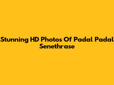 Stunning HD Photos Of Padal Padal Senethrase