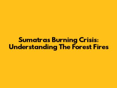 Sumatra's Burning Crisis: Understanding The Forest Fires
