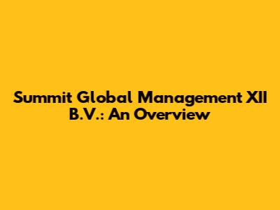 Summit Global Management XII B.V.: An Overview