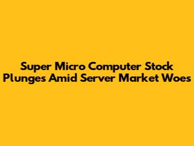 Super Micro Computer Stock Plunges Amid Server Market Woes