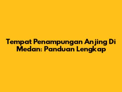 Tempat Penampungan Anjing Di Medan: Panduan Lengkap