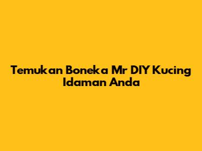 Temukan Boneka Mr DIY Kucing Idaman Anda