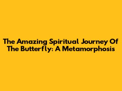 The Amazing Spiritual Journey Of The Butterfly: A Metamorphosis