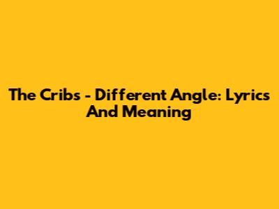 The Cribs - Different Angle: Lyrics And Meaning