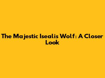 The Majestic Isealis Wolf: A Closer Look