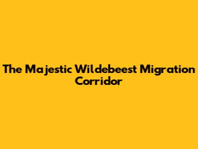 The Majestic Wildebeest Migration Corridor
