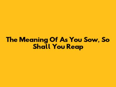 The Meaning Of 'As You Sow, So Shall You Reap'