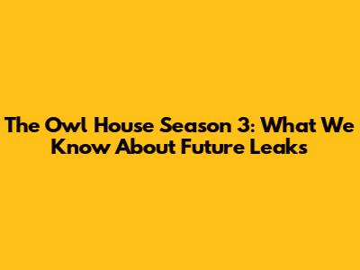 The Owl House Season 3: What We Know About Future Leaks