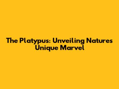 The Platypus: Unveiling Nature's Unique Marvel