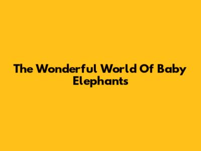The Wonderful World Of Baby Elephants
