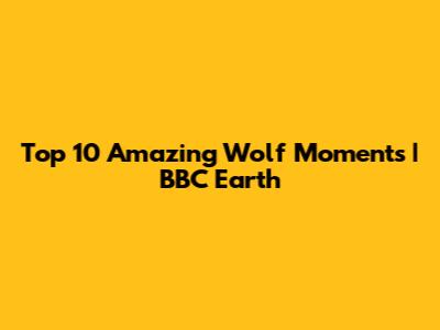 Top 10 Amazing Wolf Moments | BBC Earth