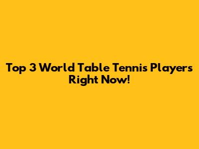 Top 3 World Table Tennis Players Right Now!