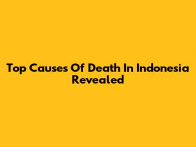 Top Causes Of Death In Indonesia Revealed