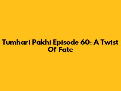 Tumhari Pakhi Episode 60: A Twist Of Fate