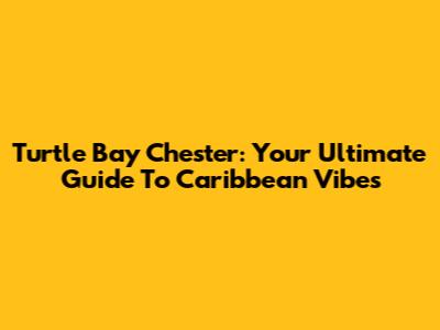 Turtle Bay Chester: Your Ultimate Guide To Caribbean Vibes