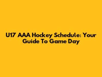 U17 AAA Hockey Schedule: Your Guide To Game Day