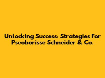 Unlocking Success: Strategies For Pseoborisse Schneider & Co.