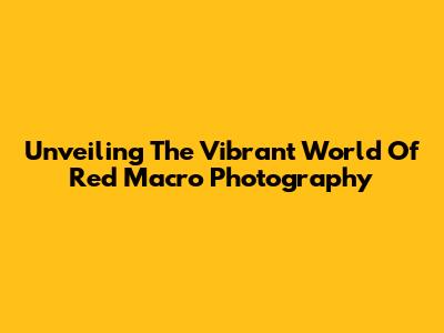 Unveiling The Vibrant World Of Red Macro Photography