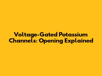 Voltage-Gated Potassium Channels: Opening Explained