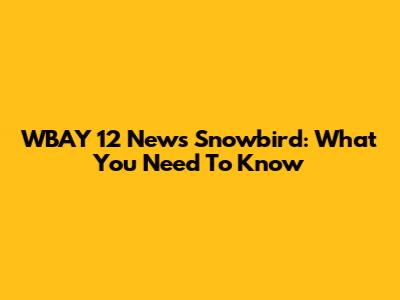 WBAY 12 News Snowbird: What You Need To Know