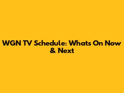 WGN TV Schedule: What's On Now & Next