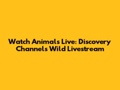 Watch Animals Live: Discovery Channel's Wild Livestream