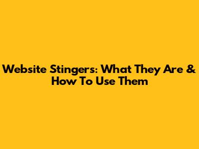 Website Stingers: What They Are & How To Use Them