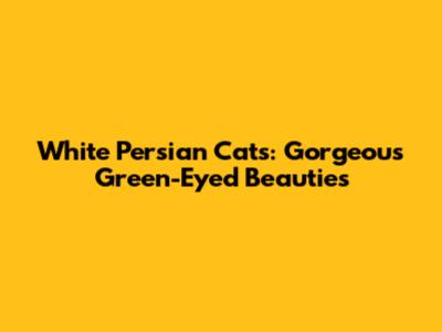 White Persian Cats: Gorgeous Green-Eyed Beauties