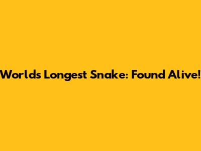 World's Longest Snake: Found Alive!