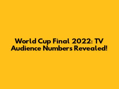 World Cup Final 2022: TV Audience Numbers Revealed!