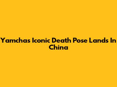 Yamcha's Iconic Death Pose Lands In China
