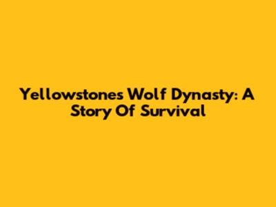 Yellowstone's Wolf Dynasty: A Story Of Survival