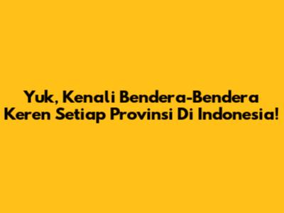 Yuk, Kenali Bendera-Bendera Keren Setiap Provinsi Di Indonesia!