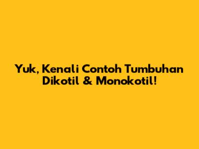 Yuk, Kenali Contoh Tumbuhan Dikotil & Monokotil!