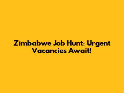 Zimbabwe Job Hunt: Urgent Vacancies Await!