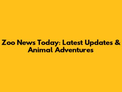 Zoo News Today: Latest Updates & Animal Adventures